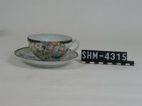 SHM_SHM-04315